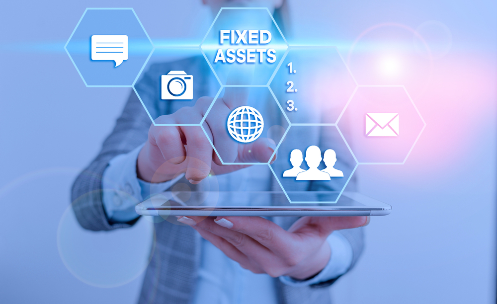 Stock & Fixed Asset Audit